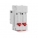 Disjuntor Bipolar Din B 16A 3kA - Steck#SIMONLEX#