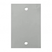 Placa 1 Módulo Para Piso 4x2 Inox - Olivo#SIMONLEX#