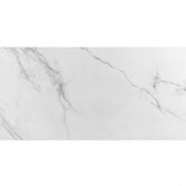 Porcelanato 0,59x1,182 Esmaltado Place Polido - Caixa Com 1,39 m2 - Eliane#SIMONLEX#