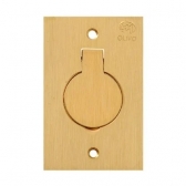 Placa 1 Módulo Para Piso 4x4 Latão - Olivo#SIMONLEX#
