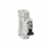 Disjuntor Unipolar Din 63A 3KA - Soprano#SIMONLEX#