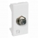 Módulo Antena de TV Pial Plus - Legrand#SIMONLEX#